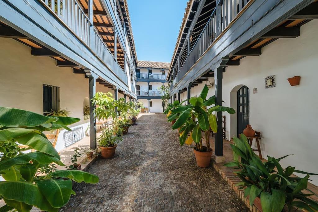 New Apartment In Traditional Building Of The XVI Century Sevilla Exteriér fotografie